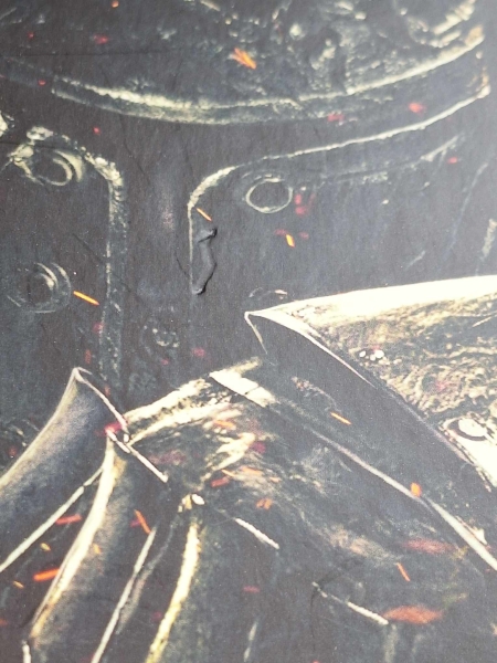 Dark Souls II  - Collector's Edition Guide